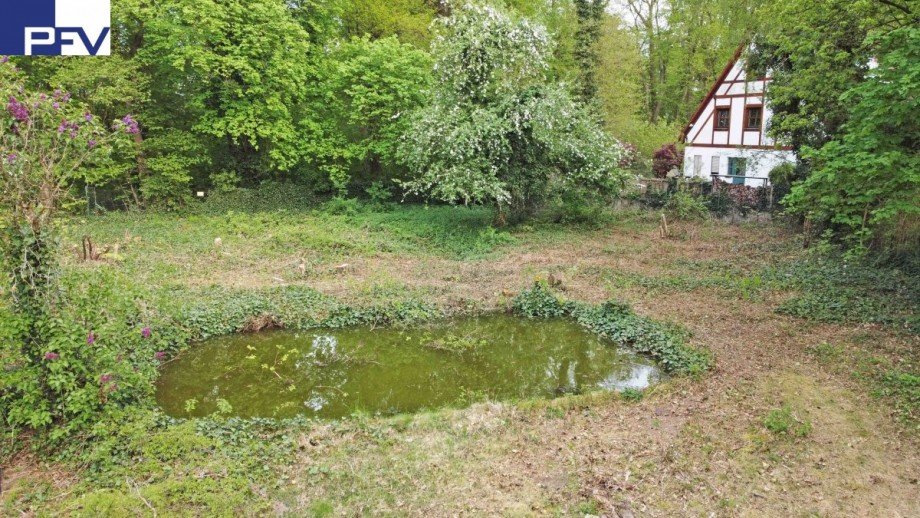 Blick von der Einfahrt Wohngrundst�ck N�rnberg