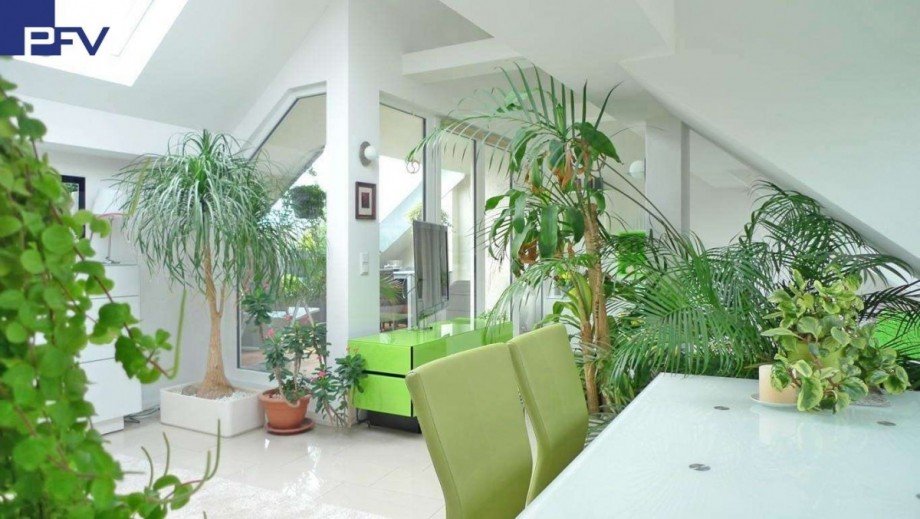 Blick zur Loggia Dachgeschosswohnung N�rnberg