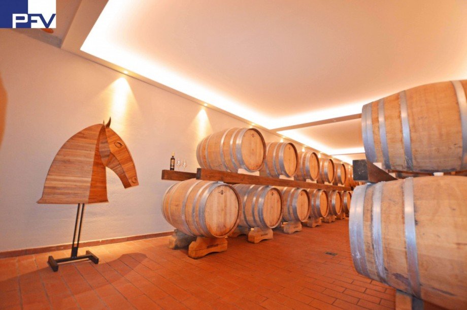 Weinlager im UG (1) Haus Roselle