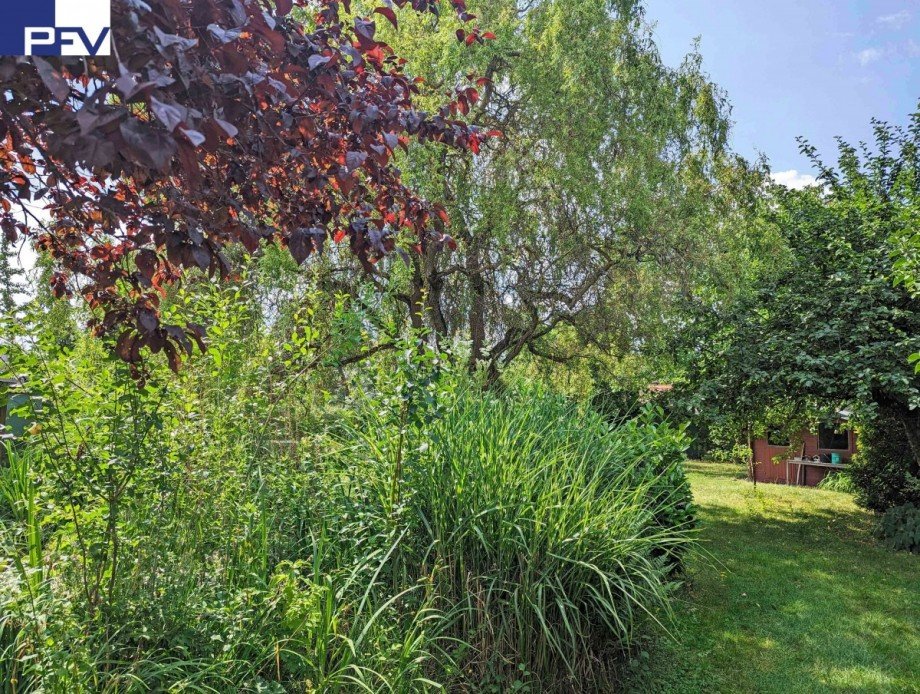 Garten PXL_20230704_090726715b Doppelhaush�lfte N�rnberg