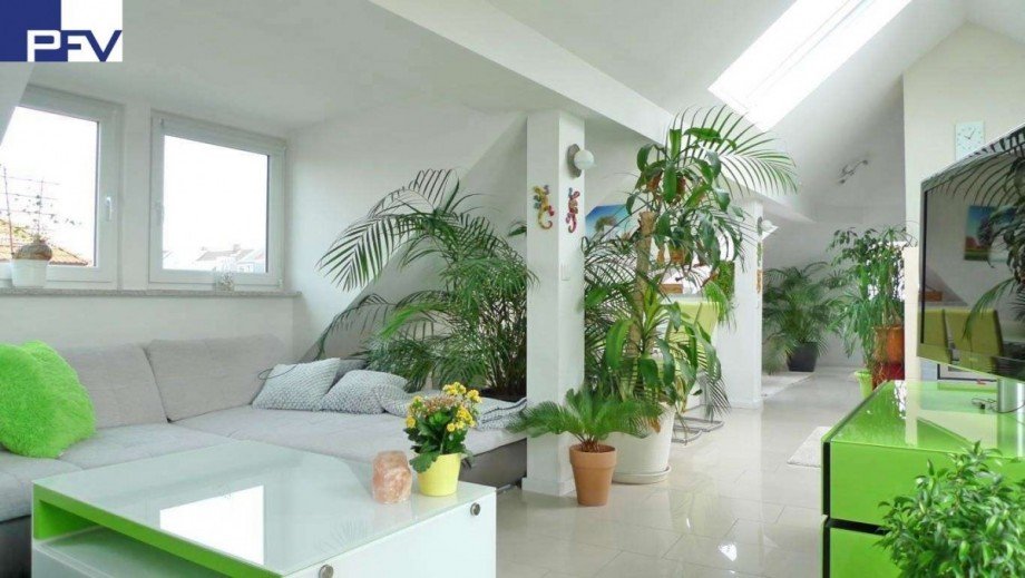 Blick zum Wohnen und Essen Dachgeschosswohnung N�rnberg