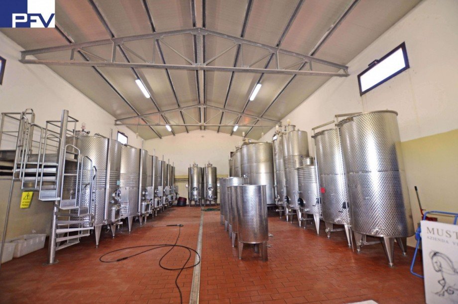 Weinproduktion-Capannone Haus Roselle