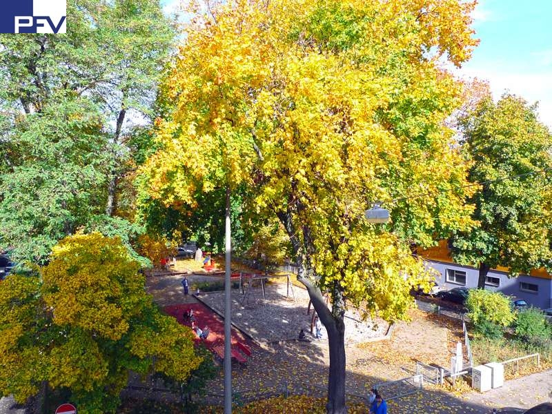 Toller Ausblick ins Gr�ne Dachgeschosswohnung N�rnberg / St. Peter