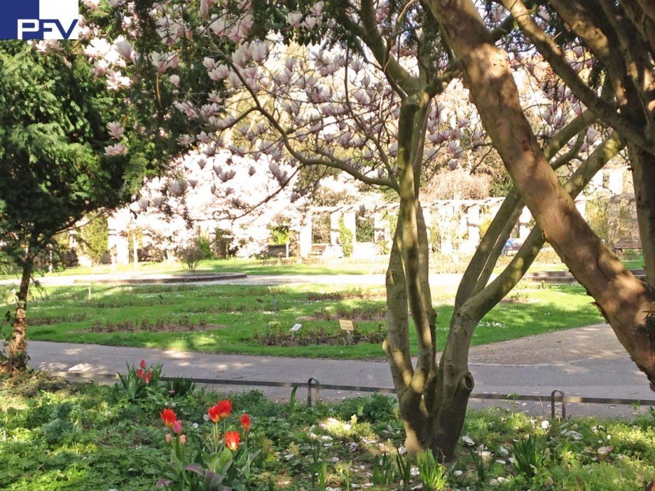 F�rther Stadtpark Mehrfamilienhaus F�rth