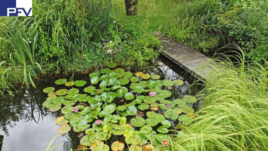 Gartenteich bDJI_0750 Doppelhaush�lfte N�rnberg