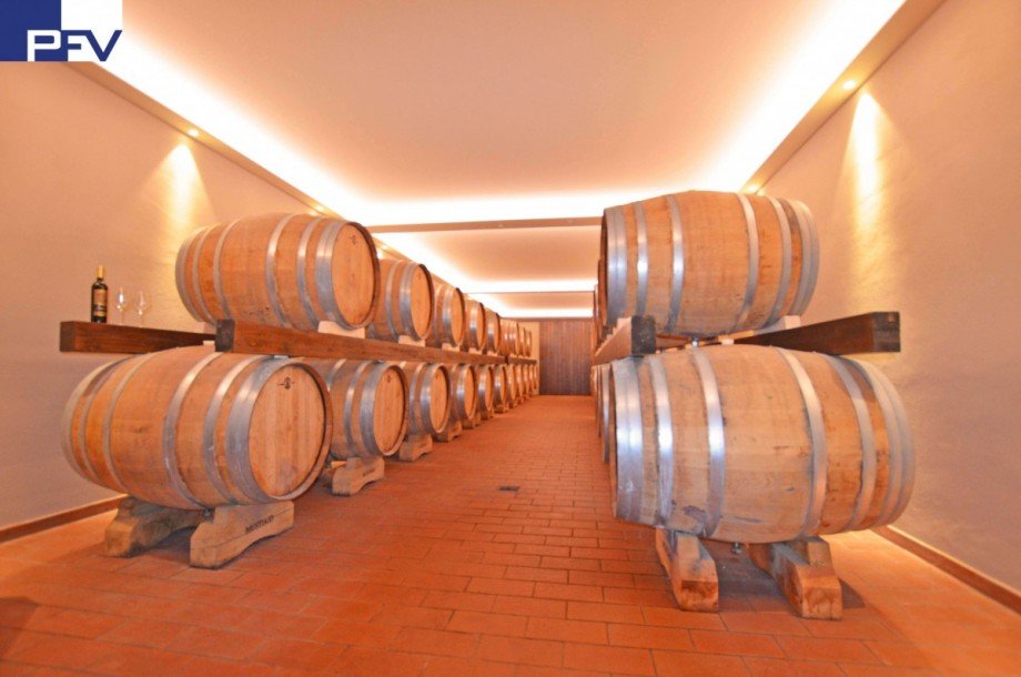 Weinlager im UG (2) Haus Roselle