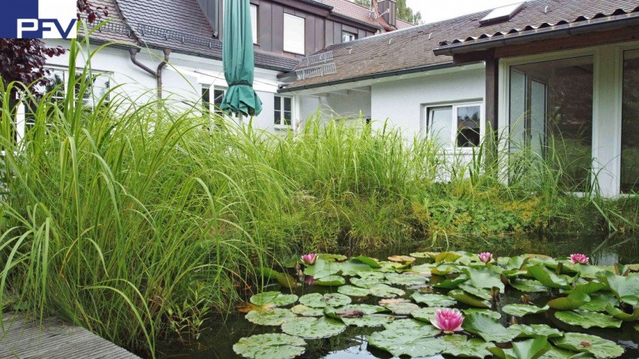 Garten bDJI_0780 Doppelhaush�lfte N�rnberg