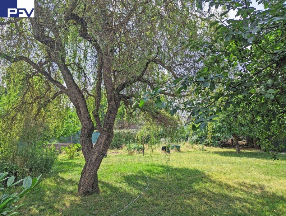 Garten PXL_20230704_090702740b Doppelhaush�lfte N�rnberg