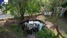 Blick in den Garten Verkauft: Das Gl�ck hat ein Zuhause-Idyllisches Wohnen mit Ihrer Familie